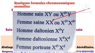 Texte modèle Biologie SVTSMPSES 2024 Correction Daltonisme 💯 motivation [upl. by Stinky]