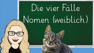 Vier Fälle weibliche Nomen Deklination2 Deutsch Grammatik feminine Nomen Singular Plural [upl. by Yeo]