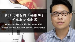 新陳代謝基因「醛縮酶」可成為抗癌利器 Aldolase  Metabolic Enzymes with Great Potentials for Cancer Theraputics [upl. by Ellertal]