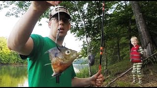 How to catch catfish from the bank  Bank fishing for catfish [upl. by Kannry267]