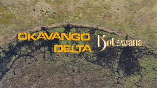 STUNNING 4K Drone Footage of Okavango Delta Botswana  The Nature Project  Wildlife Aerial Views [upl. by Eras]