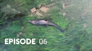 Barramundi Fishing in the Kimberleys  Ord River Camping  Ep 06 [upl. by Starobin]