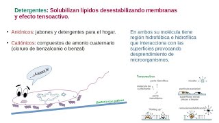 CONTROL DE MICROORGANISMOS AGENTES QUÍMICOS [upl. by Enomas363]