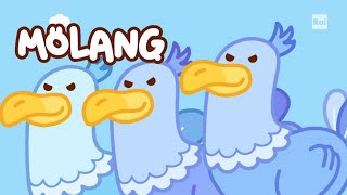 Molang Season 5 2021  Dodo Screen Time [upl. by Hennessey]