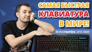 Любите Диско ✔ Обзор игровой клавиатуры Steelseries Apex M800 [upl. by Nallid]