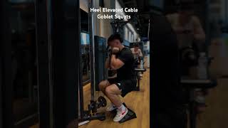 Tutorial on how to do the heel elevated cable goblet squats [upl. by Ahsias]