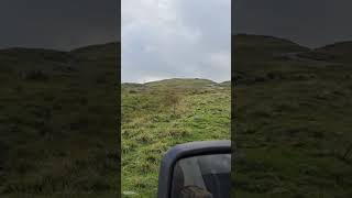 cumbria hardknottpass automobile vwlovers bestroadtrip getting the old girl up [upl. by Gildas]