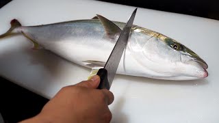 How to make fatty yellowtail sashimi  How to make yellowtail sashimi that even beginners can make [upl. by Dempster]