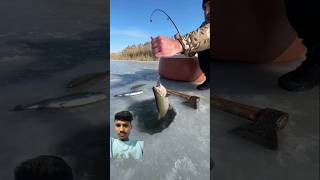 Fish pakadna 🤤🤤🤤🤤fishing video [upl. by Aenad637]