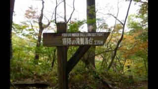 栃木県日光市 「霧降りノの滝 霧降高原「山のレストラン」 2015 10 18 [upl. by Hemminger]