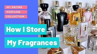 How I Store My Fragrances  My Entire 150 Bottle Perfume Collection [upl. by Alyse]