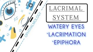 LACRIMAL SYSTEM LECTURE 5 WATERY EYES LACRIMATION amp EPIPHORA [upl. by Devin]