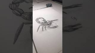 Scorpion Sketch art sketch artist scorpion arachnid drawing [upl. by Aticilef276]