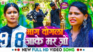 Video  भाग दोगला जाके मर जो  Chanchal Chanda  Bhag Dogla Jake Mar Jo  Bhojpuri Viral Song 2024 [upl. by Aneet]