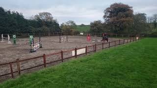 20241110 Standardbred jumps 1m course for the first time 2 poles down [upl. by Uwton]