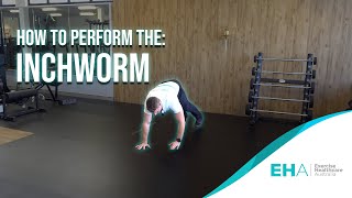 How to Perform The Inchworm [upl. by Edla]