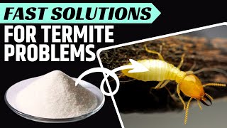 How to Kill Termites the Natural Way [upl. by Kylah]