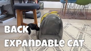 My cats love this backpack they would go inside willingly [upl. by Deenya]