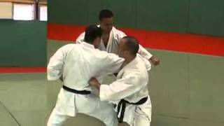 7 Enpi Kata Kumite Bunkai Didier Lupo [upl. by Razid]