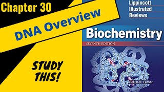 Lippincotts Biochemistry Review Chapter 30 DNA replication and Repair  Study This [upl. by Dex388]