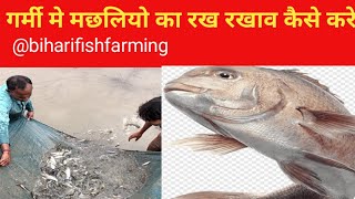 गर्मी से मछलियो को बचाने का सटिक ऊपाय biharifishfarming [upl. by Aztinaj]