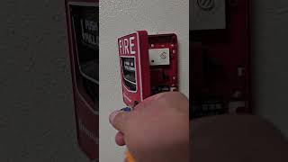 PULLING HIGHSCHOOL FIRE ALARM firesprinkler [upl. by Keele108]