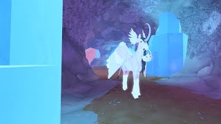 Roblox Horse life  Chilling in market fighting bosses and breeding [upl. by Airtened]