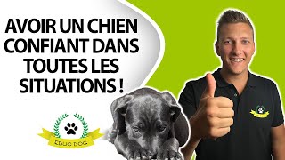 Chien anxieux craintif et peureux  comment faire [upl. by Iharas]