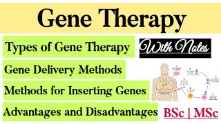 Gene Therapy Types Somatic amp Germline Methods of inserting gene Ex vivo amp In Vivo Gene Transfer [upl. by Jefferey370]