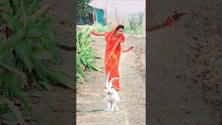 जय श्री कृष्णा🙏🏻shorts emotional krishna vrindavan maa hearttouching youtubeshorts [upl. by Charis]