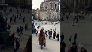 dresden shortvideo travel discovergermany amazing oldtown historical [upl. by Eisej]