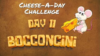 Bocconcini  Cheeseaday Challenge Day 11 [upl. by Robillard]