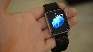 Review  Apples Space Black Milanese Loop for Apple Watch [upl. by Adlemi]