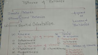 Ethology Animal behaviour pattern of behavior spatial orientationkinesis and their types [upl. by Zachar]