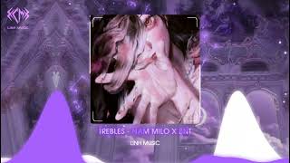 Trebles  Nam Milo x BNT  Nhạc Remix Hot Tik Tok [upl. by Tucker630]