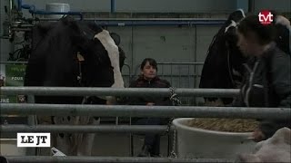 Ferme Expo morosité dans les allées du salon [upl. by Sirkin99]