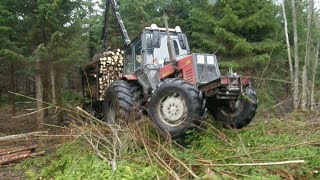 Belarus Mtz 1025 in forest [upl. by Sikleb]