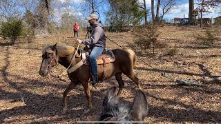 Horse Obstacle Work the heavy drag horsetraining [upl. by Adnwahsar592]