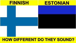 FINNISH vs ESTONIAN DO THEY SOUND ALIKE  Verbale Mondo [upl. by Nylram]