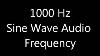 1000 Hz  1 kHz Sine Wave Audio Frequency Test Tone [upl. by Conal]