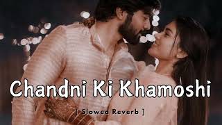 Chandni Ki Khamoshi Slowed Reverb Song  Love mashup song  MUSIC ADDA  New release song [upl. by Ardnosak928]