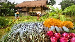 Bountiful harvest in our farm  Harvesting Filipino vegetables  Countryside life [upl. by Alioz]