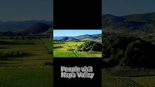 Napa Valley Wine Views amp More california usa wine [upl. by Namlas]