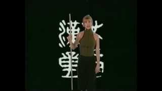 Cynthia Rothrock  Martial Combat  The Staff [upl. by Coates]