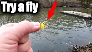 Shallow Cold Water Float Fishing  Float and Fly Fishing Tips [upl. by Edlitam]