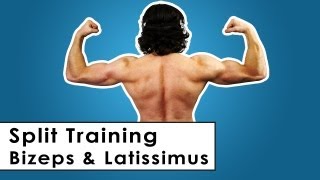 Bizeps amp Latissimus Split Trainingsplan für zu Hause  Kurzhantel Workout [upl. by Jewelle702]