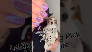 Letting my dog pick my manicure AGAIN  just reinforcing bad behaviors 😅 [upl. by Molloy355]