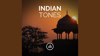 Indian Drone Tone in E [upl. by Enamrahs912]