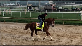 Longshot to Champion Rich Strike at the Kentucky Derby [upl. by Lotte]