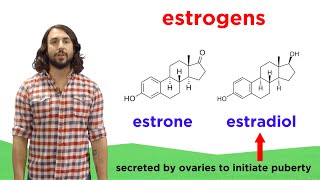 Lipids Part 2 Steroids [upl. by Odnavres]